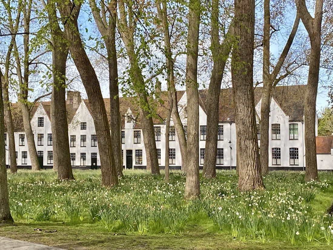 Princely Beguinage Ten Wijngaarde (Begijnhof), Brügge